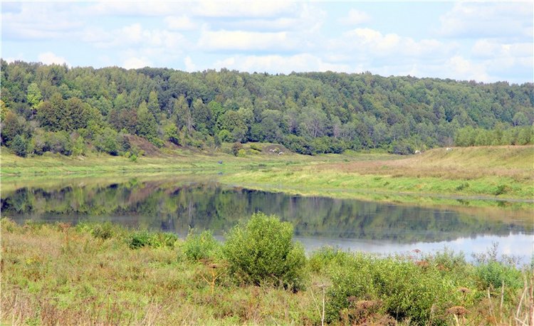Старицкая Швейцария. Путешествие с Сашей, продолжение. Уникальная кукла от Сильвии Наттерер