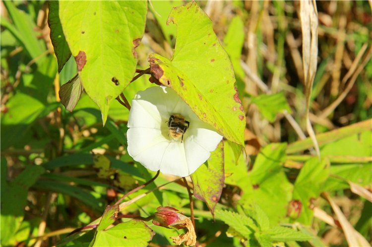 Старицкая Швейцария. Старицкие пещеры, д. Толпино, заключительная часть
