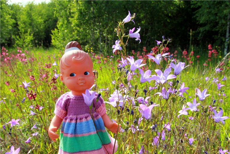 Встреча с бабочкой — Винтажные куклы ГДР (Немки): Бигги