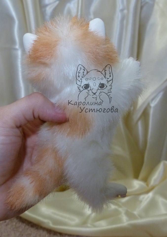 Обыкновенный котенок и его день