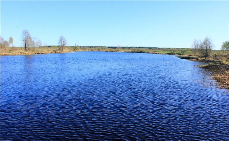 Джиджи на Орше. BJD Gigi от Meadow Dolls