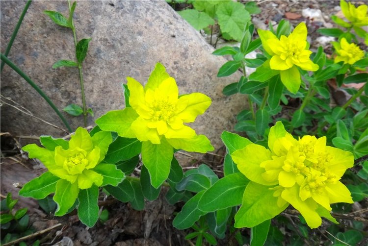 Милый мой город. Прогулка по Твери