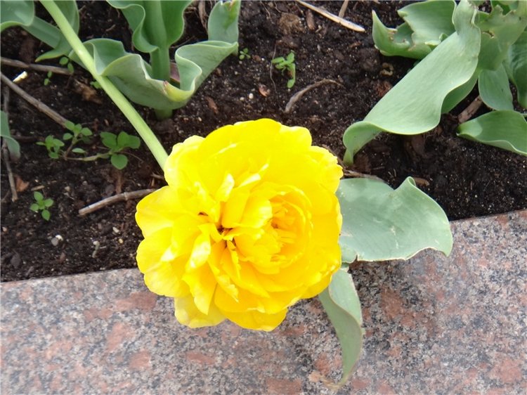 Милый мой город. Прогулка по Твери