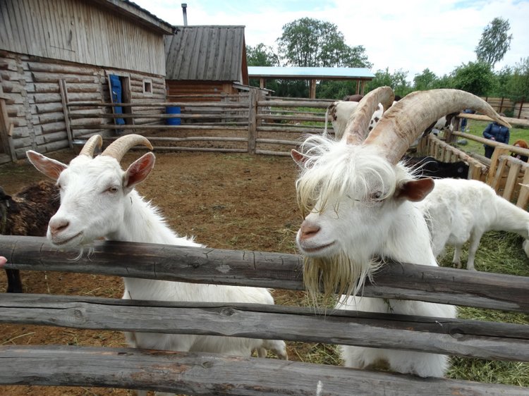Парк Сказов — Туризм и путешествия: фотоотчеты из поездок