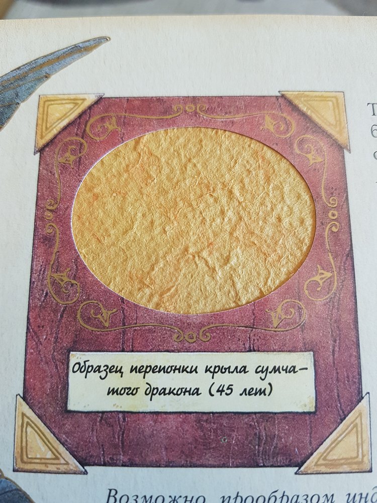 Шкаф в мою личную Нарнию | Бэйбики Шкаф в мою личную Нарнию — Болталка и разговоры обо всем: жизнь