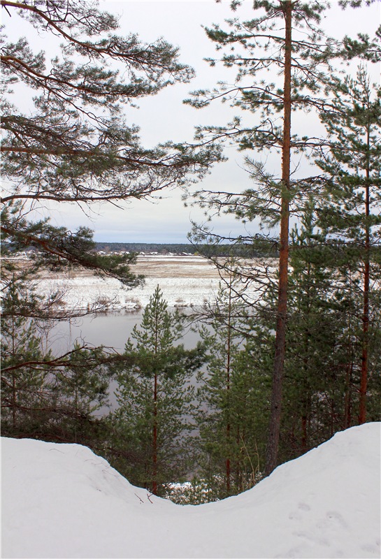 Бейли и Дий. Mini Bailey SK от Meadow dolls