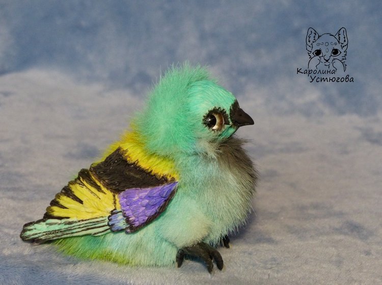 Зеленоголовая танагра, чудо птичка (фото 7)