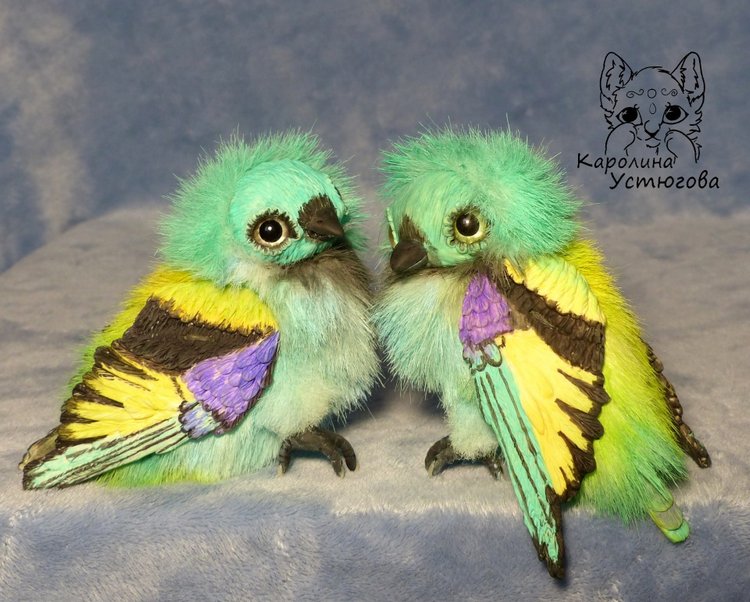 Зеленоголовая танагра, чудо птичка