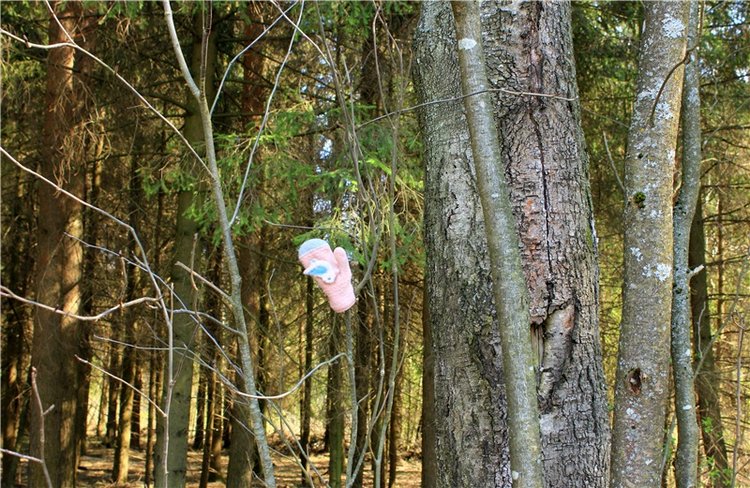 Савватьева Пустынь, Тверская область