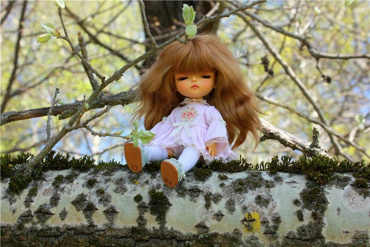 Путешествие Софи в Старицу, продолжение. Lati HoneyBee New Mystic Sophie