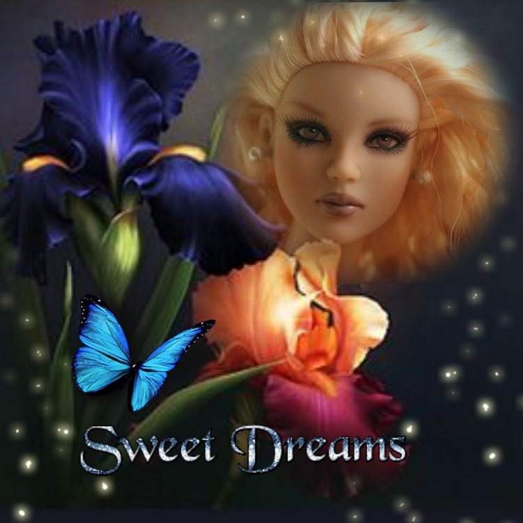 Мои Тоннерки. Фотозарисовки