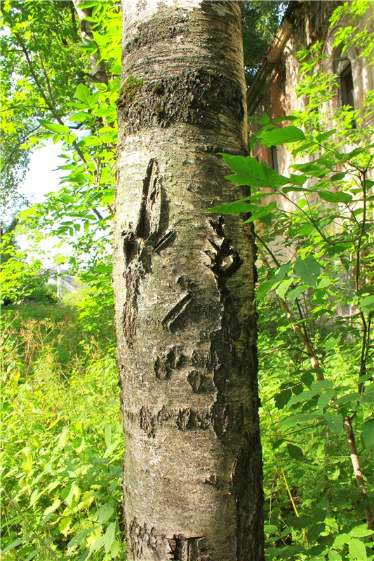 Июльское путешествие в Старицу, продолжение