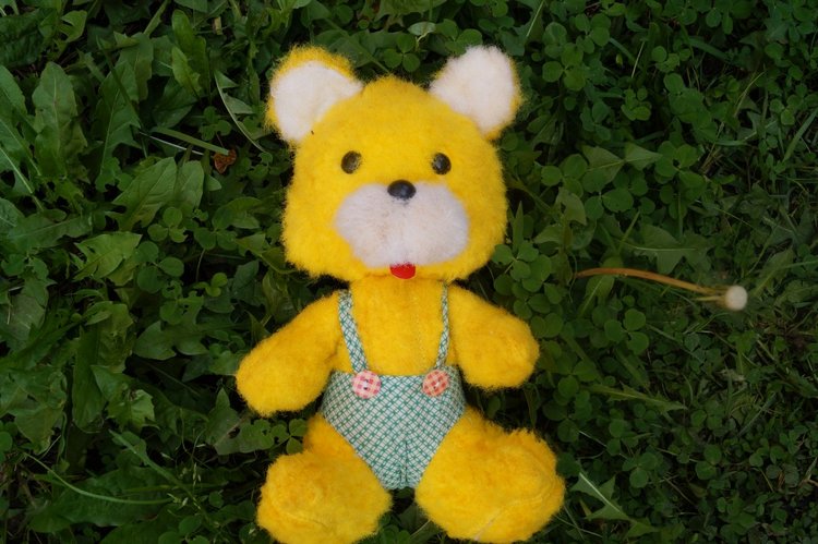 Ура! Суббота! Выписка куколок