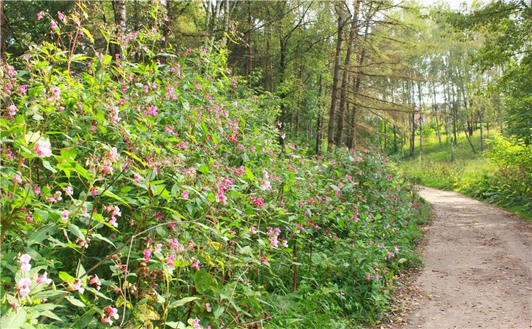 Сентябрьское путешествие в Старицу, четвёртая часть