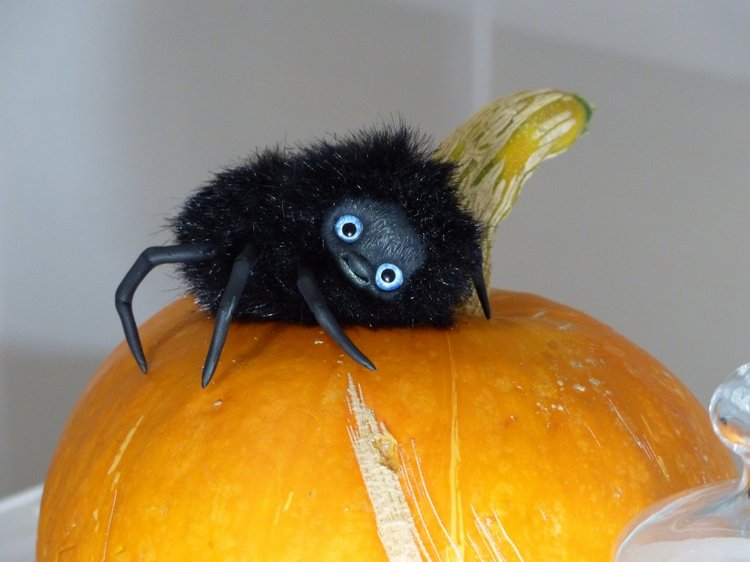 Halloween и маленькие паучки