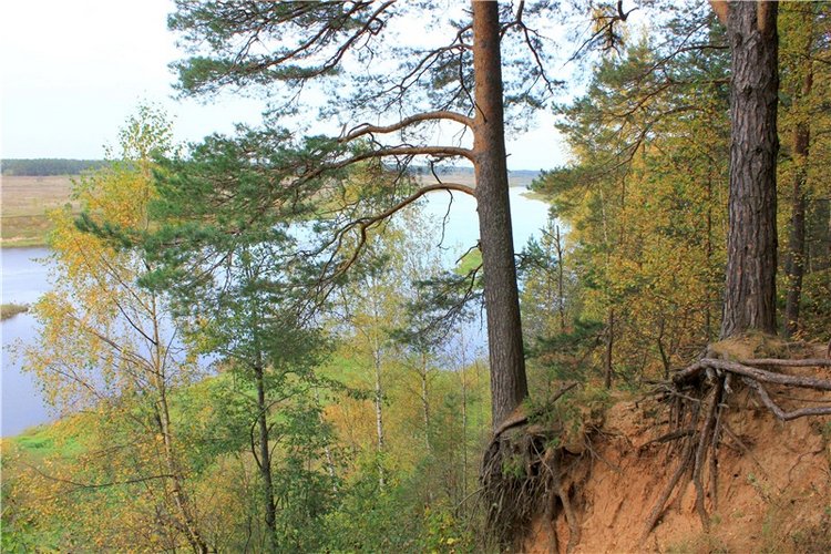 Путешествие Имани на Волгу, продолжение. Mini Imani от Kaye Wiggs