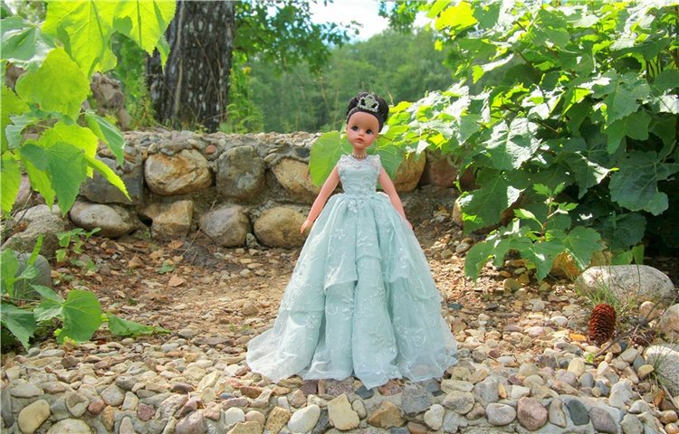 Принцессы в Райке — Куклы