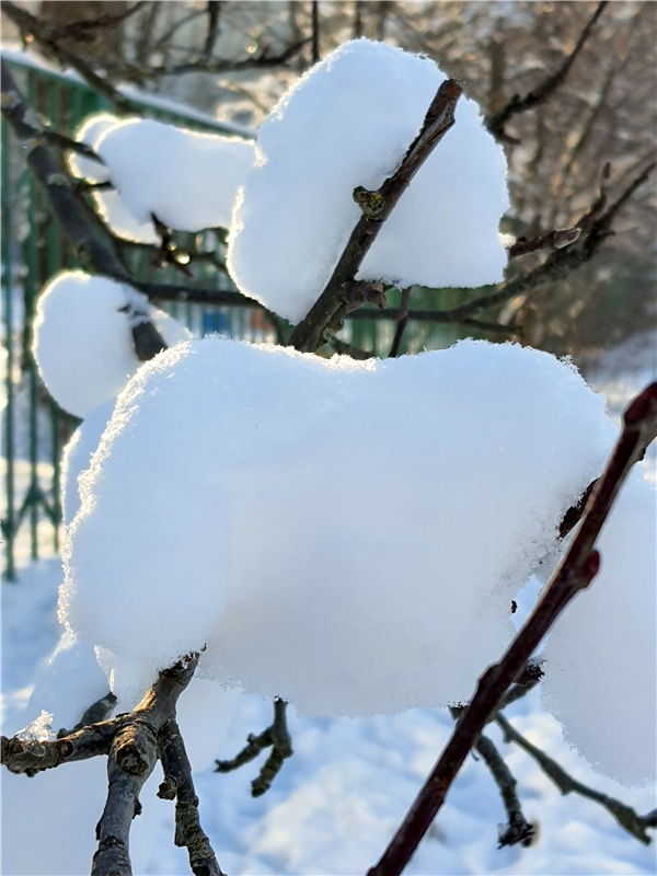 Снежно-Нежно Новогодний — Винтажные куклы ГДР (Немки): Бигги (фото 2)