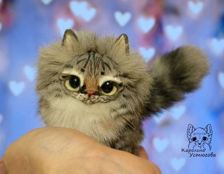 Котята Сибирской породы Табби и Мраморный биколор (фото 10)