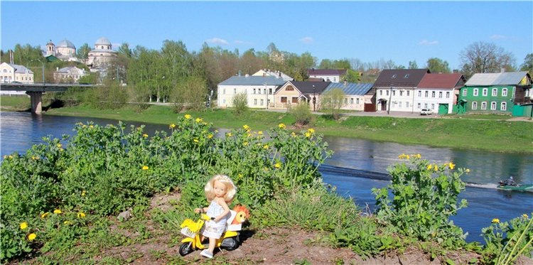 Одуванчиковая нежность, прогулка по Торжку