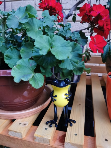 Лягушки Apo Frog от Twelvedot