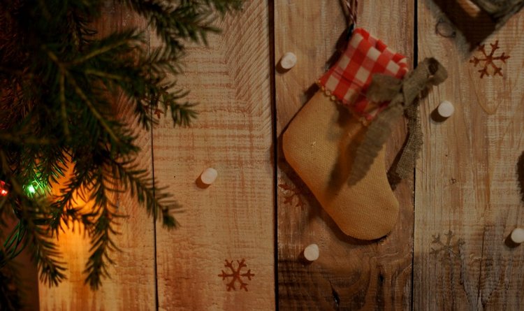 Новогодний вечер — Другие хобби и увлечения: сад (фото 7)