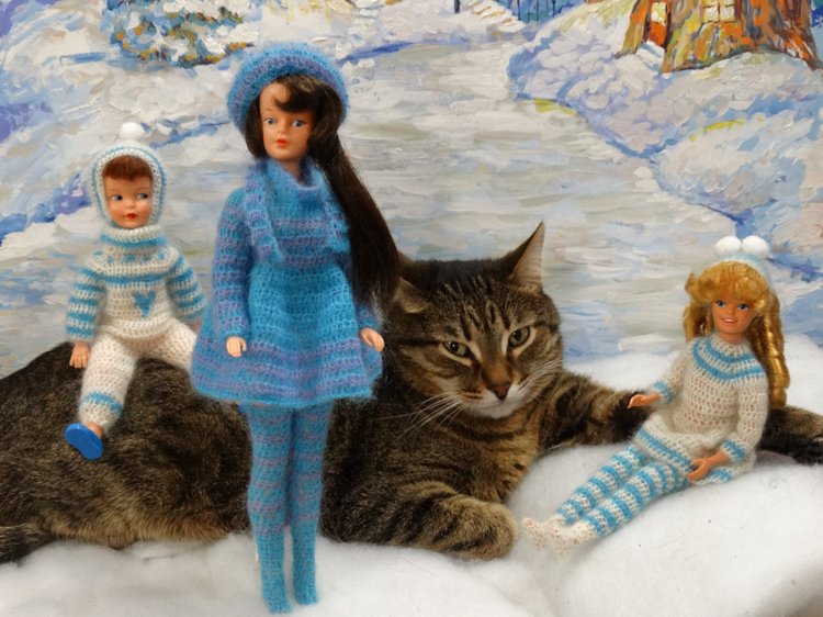 Кото-фото — В мире животных: смешные фото питомцев и зверей