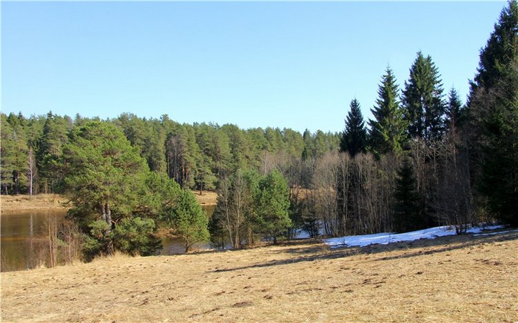 Апрельский день в Василёво, третья часть