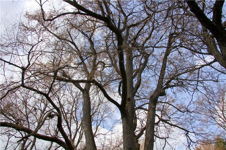 Усадьба Чукавино, Тверская область