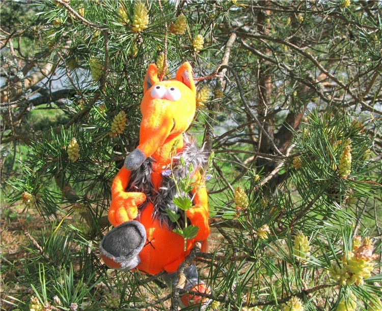 Хитрый Лис. Мягкая игрушка Хитрый Лис & Valenki, фирма MaxiToys (фото 10)