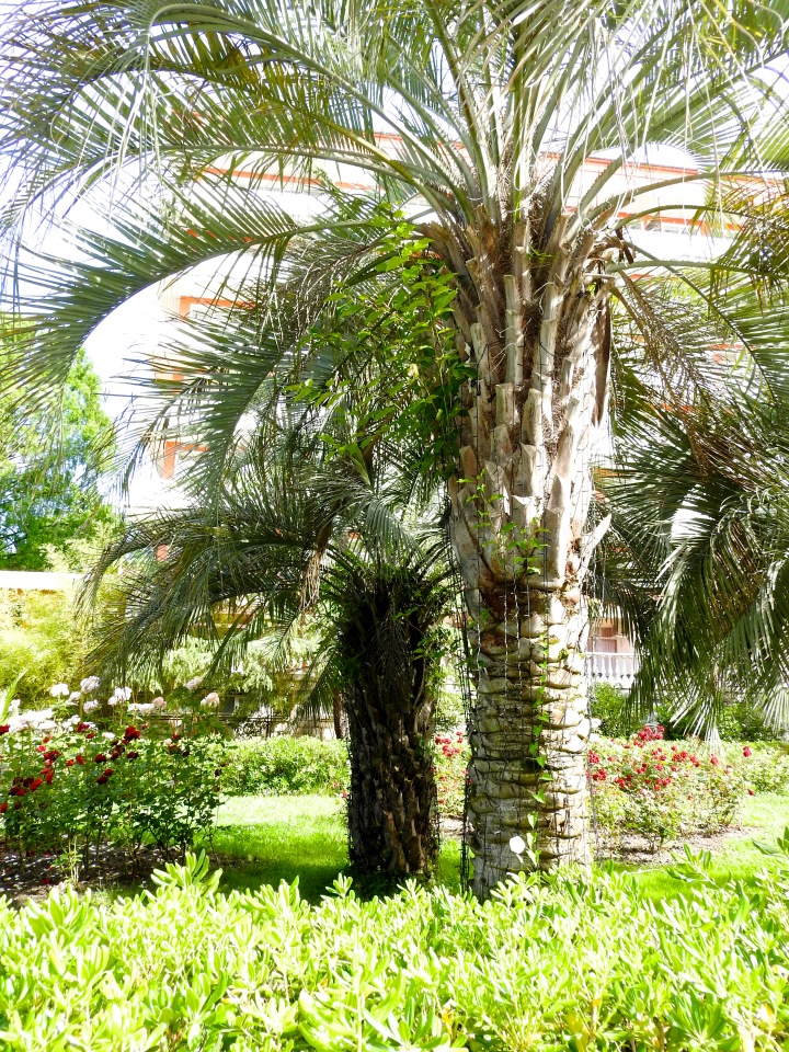 Краснодарский Край, Сочи-Адлер, Санаторий «Южное Взморье»