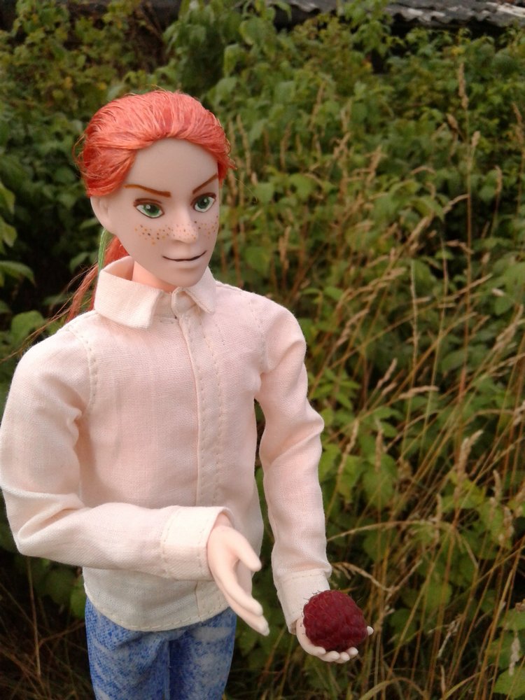 Кто же там, в малиннике — Куклы и тела Obitsu (Обитсу): 1/6 (фото 7)