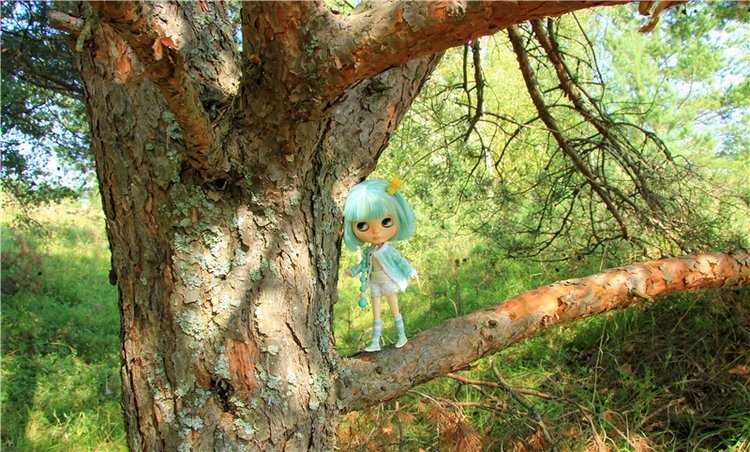 Инопланетянка Нийя. Custom Blythe Doll UFO Go Go Takara