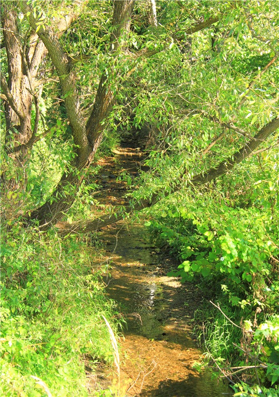 Старицкая Швейцария. Старицкие пещеры, д. Толпино, заключительная часть