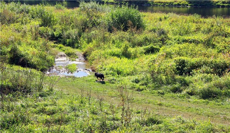 Старицкая Швейцария. Старицкие пещеры, д. Толпино, заключительная часть