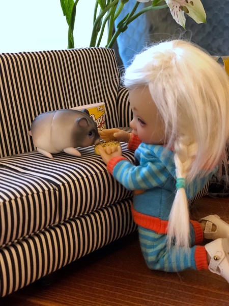 Знакомство Дрюши и Хомки — Куклы Irrealdoll (Ирреалдолл): BJD (БЖД) (фото 5)