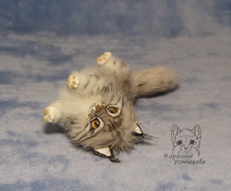 Мейн-ку́н, миниатюра. Серебристый окрас