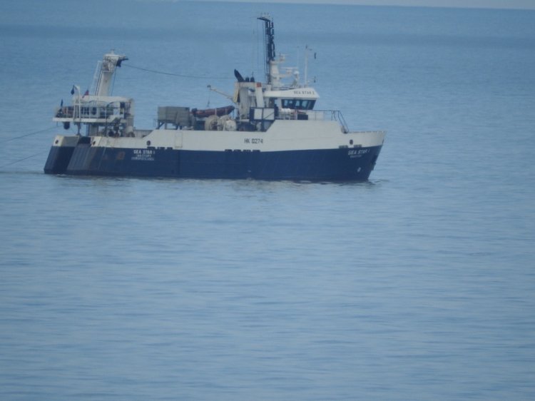 Сочи-Адлер: Южное Взморье - Красоты Черного Моря