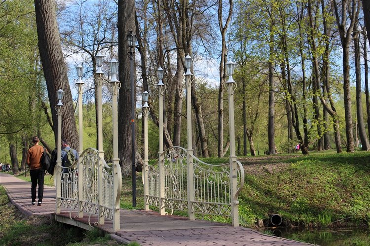 Один раз в год сады цветут