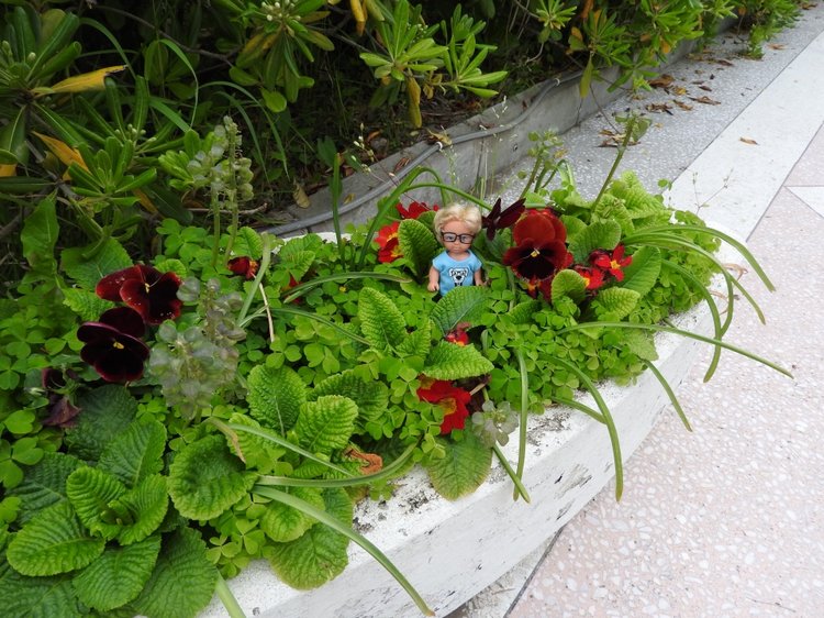 Сочи-Адлер: Южное Взморье - Мои любимые куколки на отдыхе