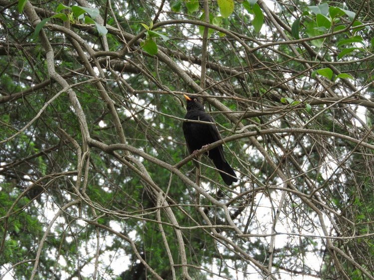 Сочи-Адлер: Южное Взморье - виртуальное путешествие по территории санатория
