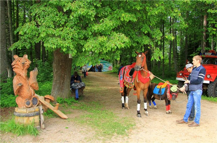 "Троицкие гуляния" в Василёво, 2018 год. Архитектурно-этнографический музей под открытым небом Василёво (фото 6)