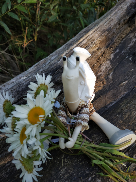 Wonderfrog. Красота в простоте