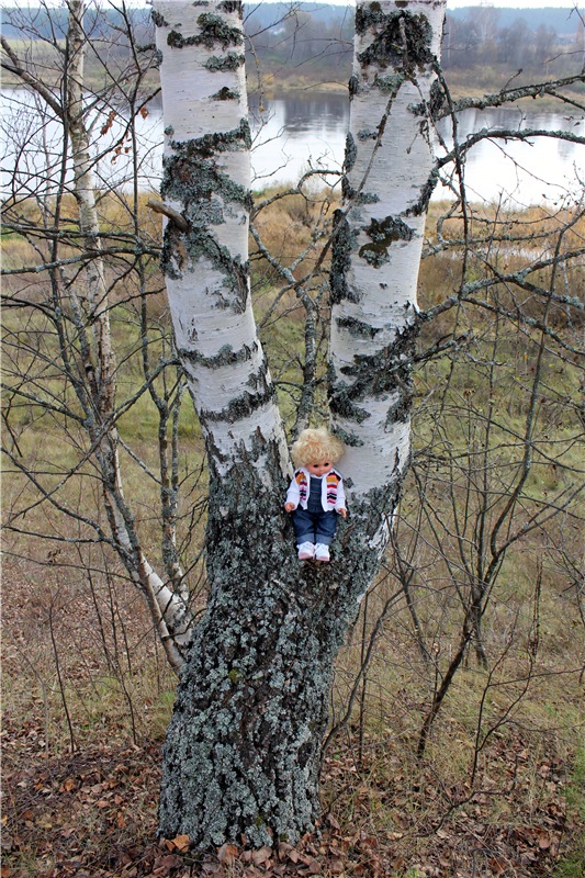 Гришутка — Винтажные куклы ГДР (Немки): Бигги