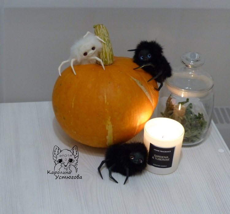 Halloween и маленькие паучки (фото 4)