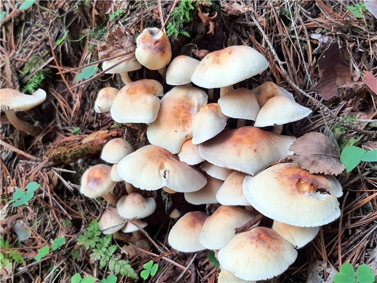 Путешествие по Святым местам Тверской области