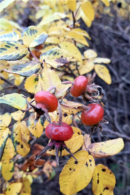 Путешествие по Святым местам Тверской области, продолжение