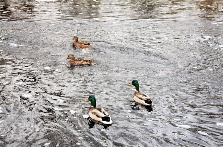 Путешествие по Святым местам Тверской области, продолжение