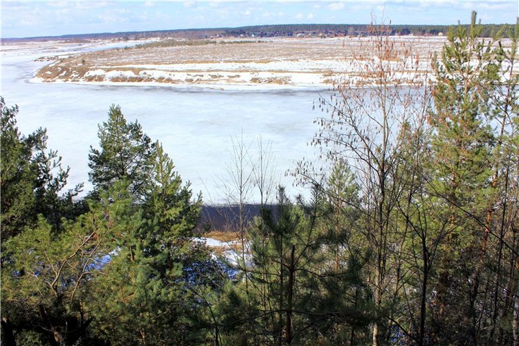 Весна в "Саду Камней" | Бэйбики Весна в "Саду Камней" — Куклы Meadow dolls (Медовушки): BJD (БЖД) (фото 6)