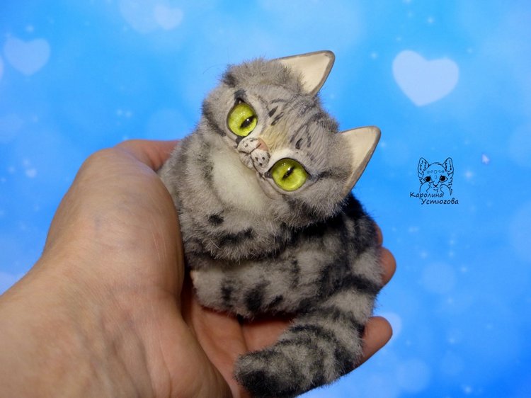 Котята и подготовка к новому году